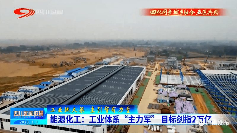建筑砂浆增稠剂厂家排名